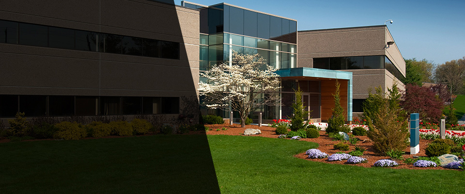 Tavernier Landscapers
