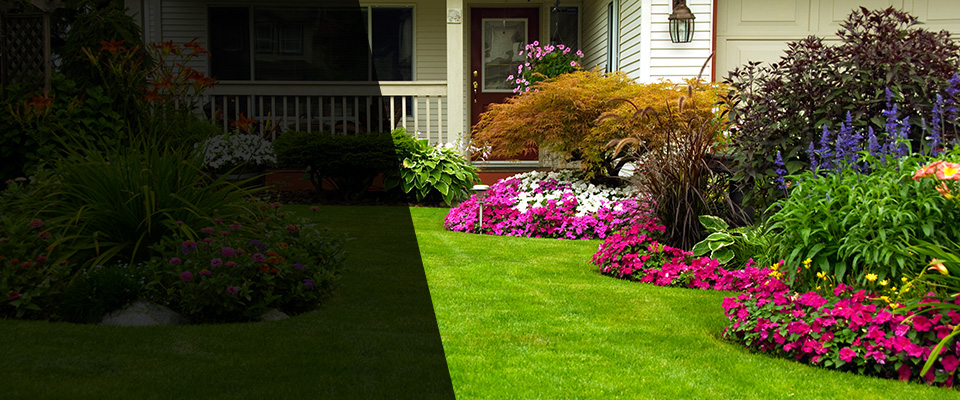 Tavernier Landscapers