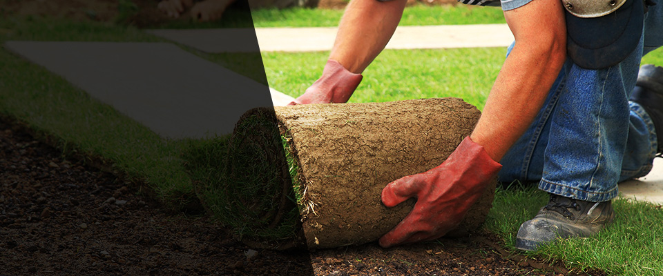 Tavernier Landscapers